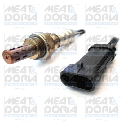 Oxygen Sensor